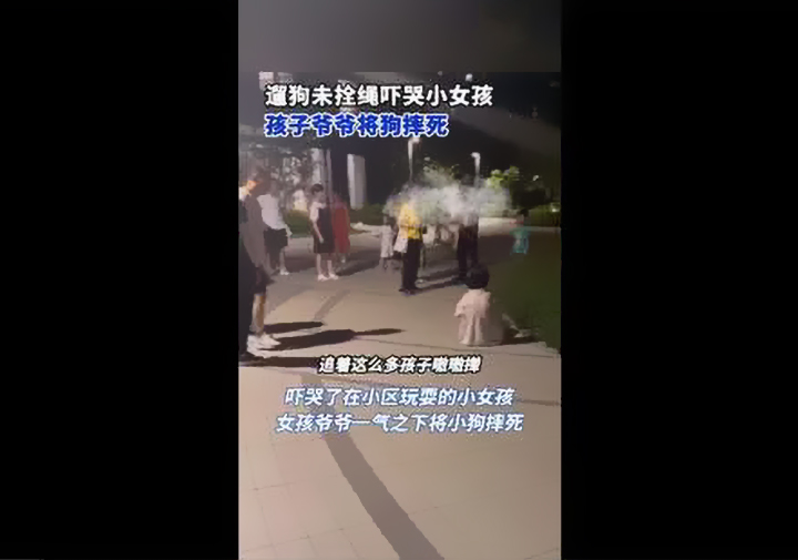 宠物狗没拴绳吓哭小孩被爷爷摔死，遛狗没拴绳咬到人负什么责任？